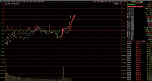 李尔盘中异动 临近收盘快速拉升5.01%