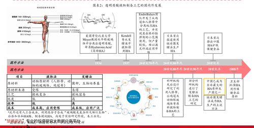 铁龙物流上涨6.25%，报6.63元/股