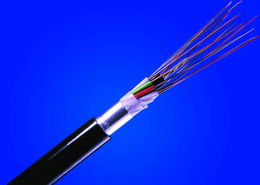 通光线缆(300265.SZ)：公司在印度建立了光纤光缆生产基地