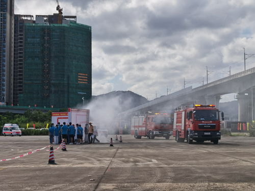 重庆6名村民疑似气体中毒 3人死亡：已成立专班和市应急执法总队调查此事
