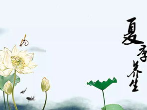 生活小常识每日一条夏天（每日的夏天）