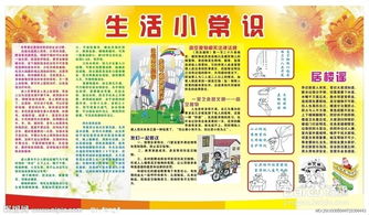 50条生活小常识一（50条生活小常识一年级上册）