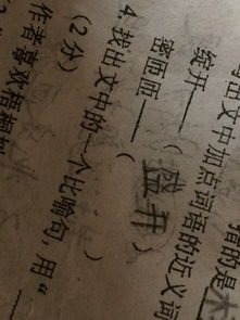 密匝匝_密匝匝的意思
