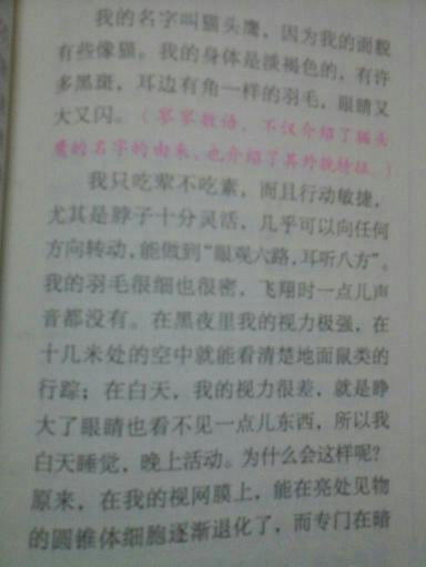 生活小常识作文500字（生活小常识作文600字左右）