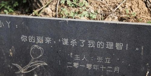 他的炙热在幽静不肯退出_被压到落地玻璃窗前的紧急救援