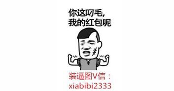 网络段子经典语录搞笑_网络段子经典语录搞笑押韵