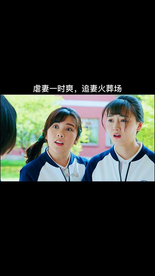追妻火葬场短剧免费看_追妻火葬场经典片段