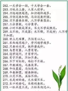 生活小常识300字作文（生活小常识的作文不少于350字）