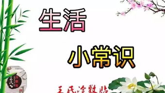 生活小常识大全简短10字（生活小常识小短文）