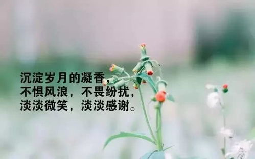 情感语录短句_情感语录短句精选
