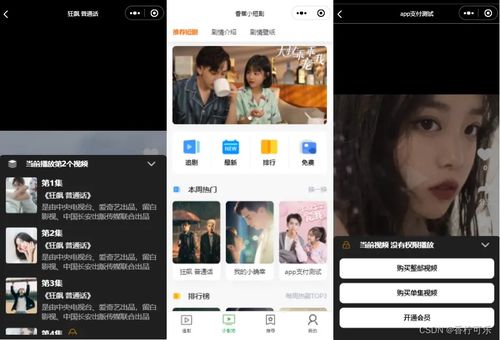小短剧在哪儿看免费的_专门看小短剧的app