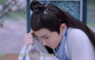 短剧免费看全集武侠王陆_主角叫王陆的电视剧