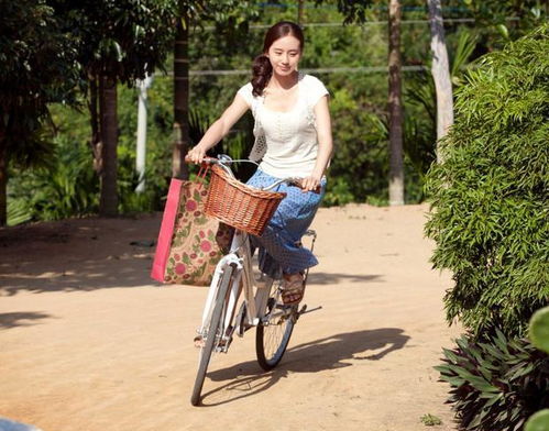 看书网小说《逍遥医道》_逍遥医道全文免费阅读无弹窗