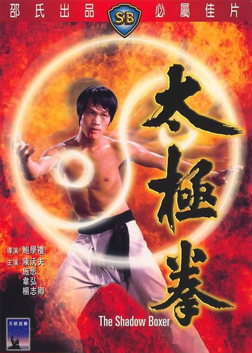 太极神宗短剧免费看全集_我想看电影太极神功