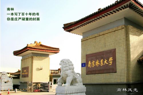 庆余年2高光时刻_庆余年高光时刻排名