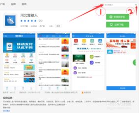 河北交通违章查询_河北交通违章查询网