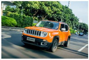 jeep车型_jeep车型小型