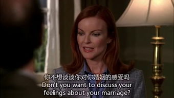 短剧绝望主妇的反击免费在线观看_绝望主妇又名