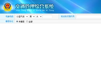 免费查车辆违章入口_免费查车辆违章的网站--第1张