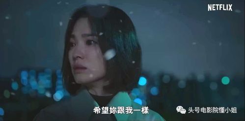 短剧黑色荣耀之孤注一掷免费在线观看_黑色荣耀作者沙十二少--第1张