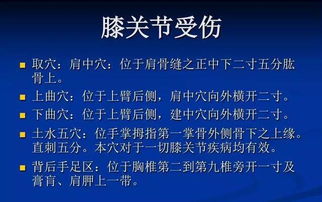 短剧霍氏遗孤免费在线观看_霍氏综合症是什么病--第1张