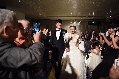 短剧婚礼换爱免费在线观看_婚礼当天换新娘的电视--第1张