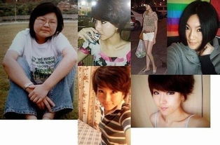 短剧胖妞逆袭渣男前任悔上天免费在线观看_胖妞逆袭小说--第1张