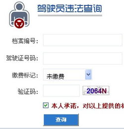 免费查车辆违章入口_免费车辆违章查询官方网站--第1张