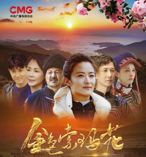 短剧火种免费在线观看_50集火种连续剧--第1张