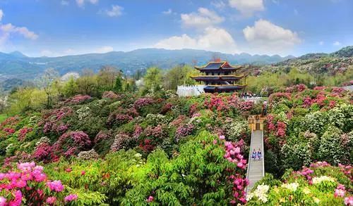 短剧离婚后重归巅峰：离婚后公布亿万身价免费在线观看_离婚后的重生--第1张