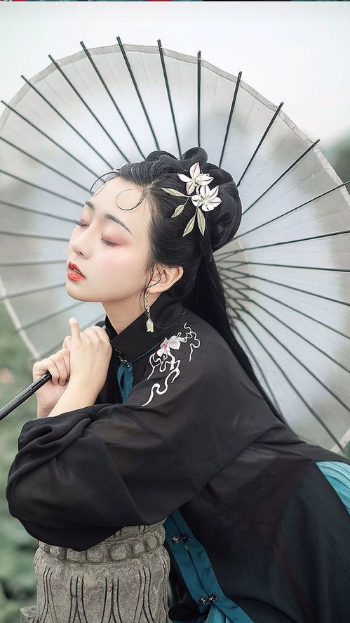 短剧权宠医妃免费在线观看_权宠医妃--第1张