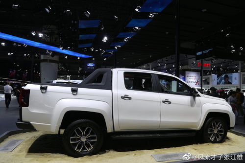 江铃皮卡最新款_江铃皮卡suv--第1张