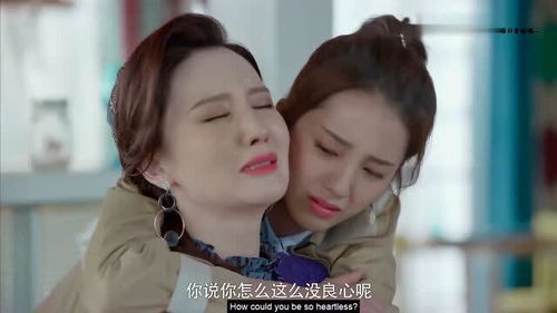 短剧霸总追妻甜炸了免费在线观看_霸总追妻全文免费阅读--第1张