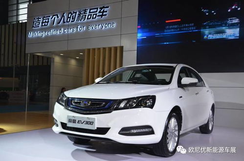 吉利帝豪ev_吉利帝豪ev300--第1张