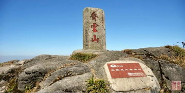 短剧龙游花都免费在线观看_龙游花海景区在哪里--第1张