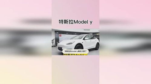 特斯拉modely落地价_特斯拉modely落地价最新--第1张