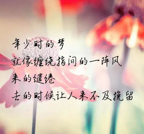 短剧余生漫漫顾怀瑾不辞春色免费在线观看_余生漫漫不相见免费--第1张