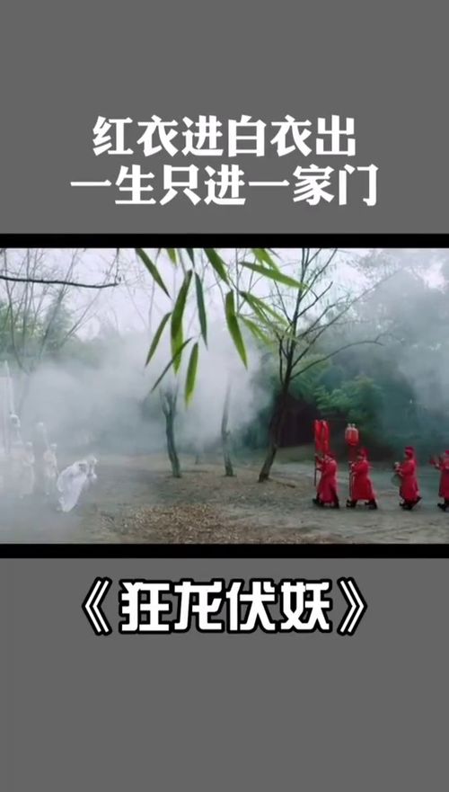短剧新：狂龙下山免费在线观看_电视剧狂龙--第1张