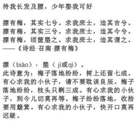 短剧你是我的乍见之欢免费在线观看_你是我的乍见之欢也是我的久处不厌--第1张