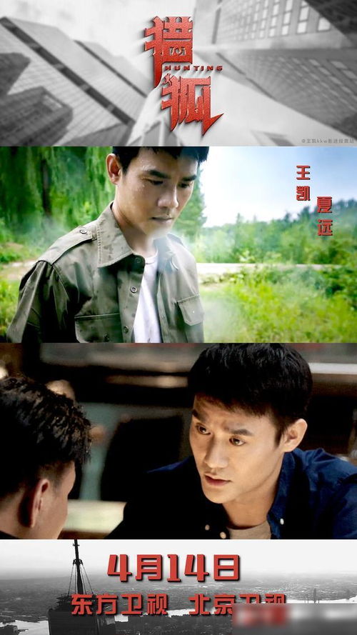 短剧跨国追杀免费在线观看_电视剧跨国追逃--第1张