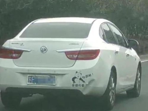 为什么女人都爱开别克车_女人为什么喜欢开豪车的男人--第1张