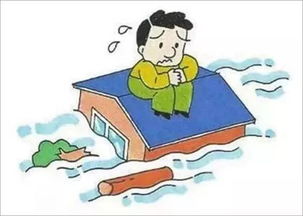 短剧危墙之下免费在线观看_危墙之下打一生肖--第1张