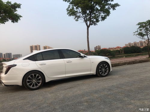 为什么不建议买ct5_为什么没人买ct5--第1张