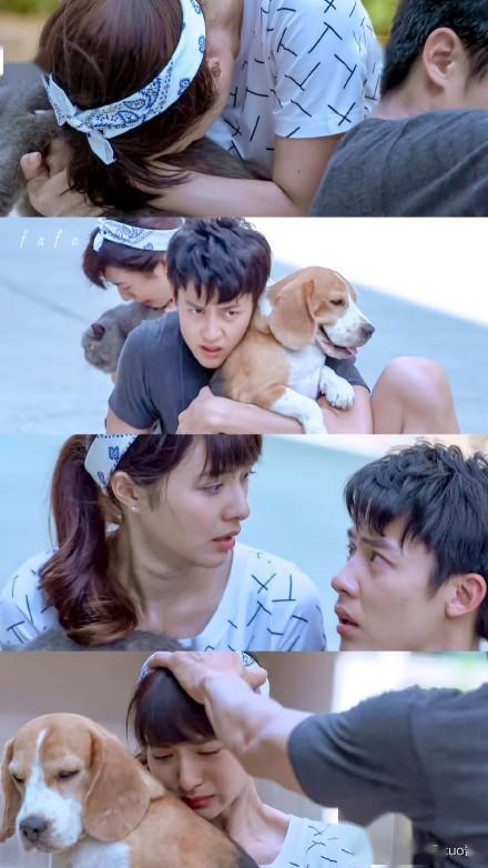 短剧婚后爱人免费在线观看_婚后恋爱免费观看--第1张