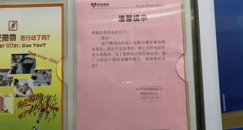 短剧都市禁主免费在线观看_都市剧集--第1张