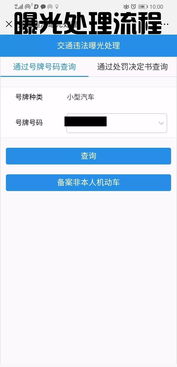 怎么查询非本人车辆的违章_怎么查询非本人车辆违章图片信息--第1张