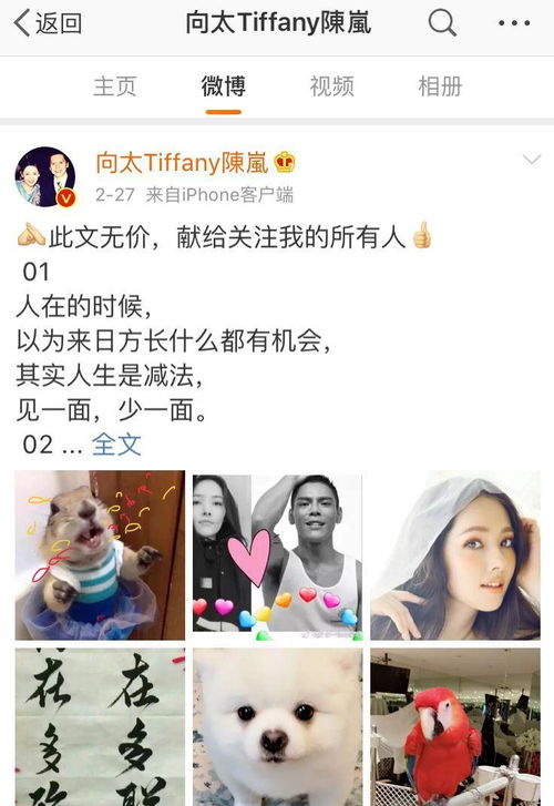 短剧私宠免费在线观看_私宠到底--第1张