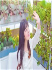 短剧霍总，夫人说你才是替身免费在线观看_霍先生,夫人--第1张