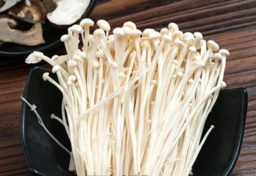 短剧离开狗窝后我重返巅峰免费在线观看_离开后再回来--第1张