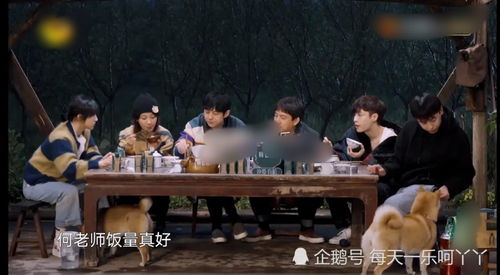 短剧闻先生的马甲又掉了免费在线观看_闻先生的世纪宠婚免费阅读--第1张